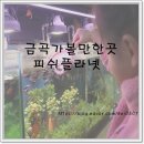 금곡수족관