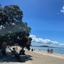 호텔와이오 | [뉴질랜드여행] 뉴질랜드 남섬+북섬10박 11일 일정 및 경비 (5일차 ~ 11일차)