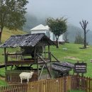 태성목장 | [강원도 당일치기 여행] 맛집 가볼만한곳 놀거리 코스 추천 (정선-태백)