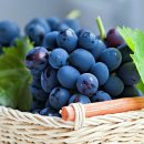 고집 이와 똑똑 이 이미지