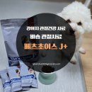 J소프트 | 4살 슬개골탈구 비숑 관절 사료 베츠초이스 J+ 급여 후기