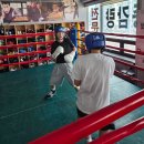 충의복싱체육관 이미지