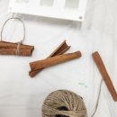 (주)애니언파크 이미지