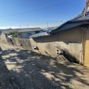 병선농장 이미지