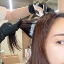 레드브라운 - 안양시 동안구 평촌대로 217 | 2026 트렌드 컬러 염색 추천, 광주 쌍촌동 미용실 하우디헤어 레드브라운 후기 희향쌤
