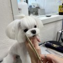 귀엽꾸멍 이미지