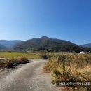 고성부동산중개사무소 이미지
