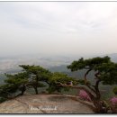 에덴동산 이미지