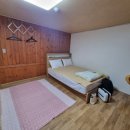 대관령로뎀나무 이미지