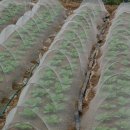 누리농장 이미지