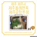 제주올레 | [제주 제주시 제주 올레면옥 제주공항본점] 제주올레면옥, 솔직후기, 제주건강한 밥상