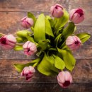 제이 행정사 이미지