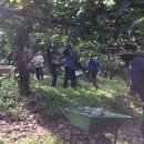 이문영농가 이미지