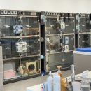 참동물의료센터 이미지