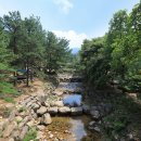 상주 황령사 아미타후불탱 | [경상북도 상주시] 성주봉자연휴양림 야영장