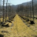 준모농장 이미지