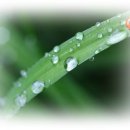 대인당구장 이미지