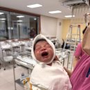 포항엘리시아산후조리원 이미지