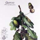 보태니컬 일러스트 이미지