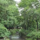 옥화자연휴양림 이미지