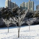 구본주스튜디오