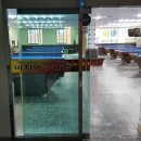 수영당구클럽 이미지