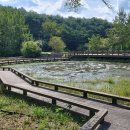 운곡생태습지길 1코스 이미지