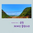 매미터 | 전라북도 순창 가볼만 한 곳 채계산 출렁다리