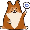 킴스 펫클리닉 이미지