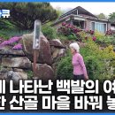 평범한 산골마을 전국에서 찾아오는 장소로 바꿔 놓은 백발의 여인┃멸종 위기종까지 희귀 야생화 종류만 800여 종! 이미지