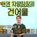 자양건어물