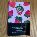 보사노바 | 강릉 오션뷰 카페 보사노바 커피로스터스 애견동반 후기