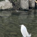 2월 24일 청계천 산책 김영환님 진행 사진 이미지