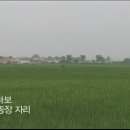 승덕농장 Daum카페