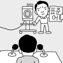차칸 이미지