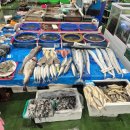 명진센타 | 광주 매월동 서부수산시장 서부농수산물도매시장 추천매장 - 49번 명진 방문 후기(킹크랩, 전복, 수산물)