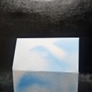 슬로우플라워 - 마포구 잔다리로3안길 44 | 슬로우플라워