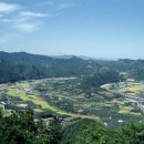 섬마을농원 이미지