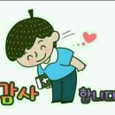 함양넷 Daum카페