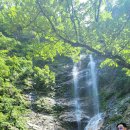 강촌스카이 이미지