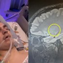 맥스그룹(MAX Group) 이미지