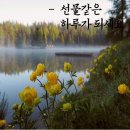 선물같은 하루 이미지