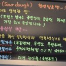 지리산황금나무 이미지