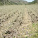 윤성농장 이미지