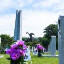 장군이네 이미지