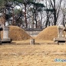 서울 연산군묘 이미지