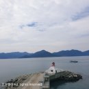 도장포낚시터 이미지