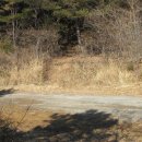 2007-주010 이미지
