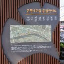 그늘막113 | 천안 아산 현충사 곡교천 은행나무길 단풍 2025 현재 실시간 현황 가는법 축제 행사 주차장 정보