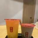 호 타로 이미지